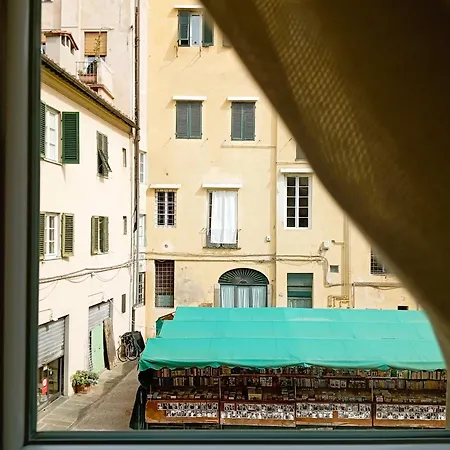 Madame Pucci-2